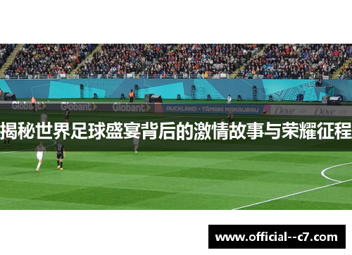 揭秘世界足球盛宴背后的激情故事与荣耀征程