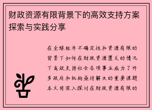 财政资源有限背景下的高效支持方案探索与实践分享 财政资源有限背景下的高效支持方案探索与实践分享