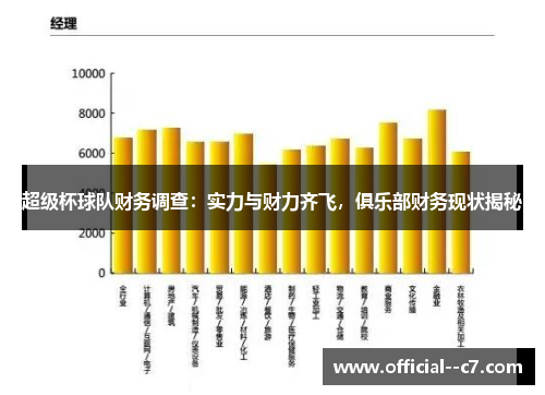 超级杯球队财务调查：实力与财力齐飞，俱乐部财务现状揭秘
