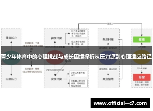青少年体育中的心理挑战与成长困境探析从压力源到心理适应路径