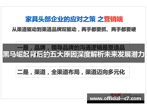 黑马崛起背后的五大原因深度解析未来发展潜力