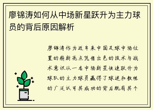 廖锦涛如何从中场新星跃升为主力球员的背后原因解析