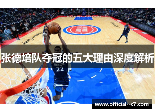 张德培队夺冠的五大理由深度解析